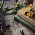 3a开奖号结果最新公布今日中奖号码查询 k51gokjfo