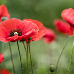 3b开机号开奖号最新结果查询与历史数据分析 kdkbout