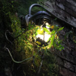 3d071期开奖结果最新公布,中奖号码全面揭晓 te4q8zo